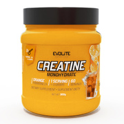 Evolite Nutrition Creatine Monohydrate 300g