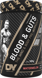 DY Nutrition BLOOD & GUTS 380g Watermelon