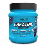 Evolite Creatine Monohydrate 500g