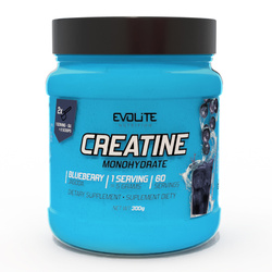 Evolite Nutrition Creatine Monohydrate 300 g