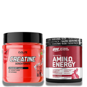 Evolite creatine monohydrate 500g + ON Amino Energy 270g