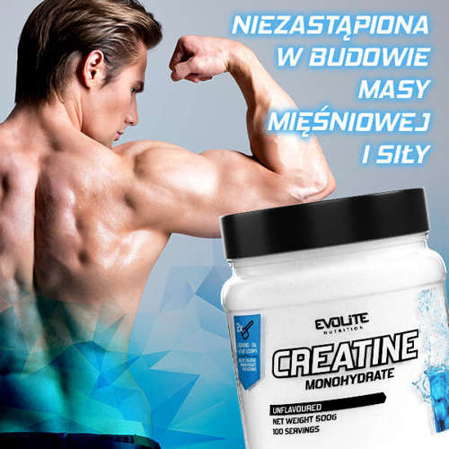 Evolite Creatine Monohydrate 1000g + 2x ON Nutramino Proteinbar XL 82g GRATIS