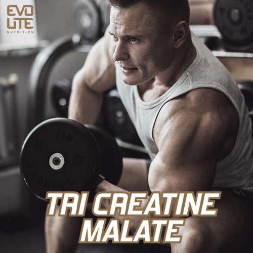 Evolite Tri Creatine Malate 300g + 2x Baton ON Nutramino Proteinbar XL 82g GRATIS